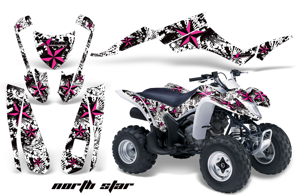 Suzuki LTZ250 Graphics Kit NS PW